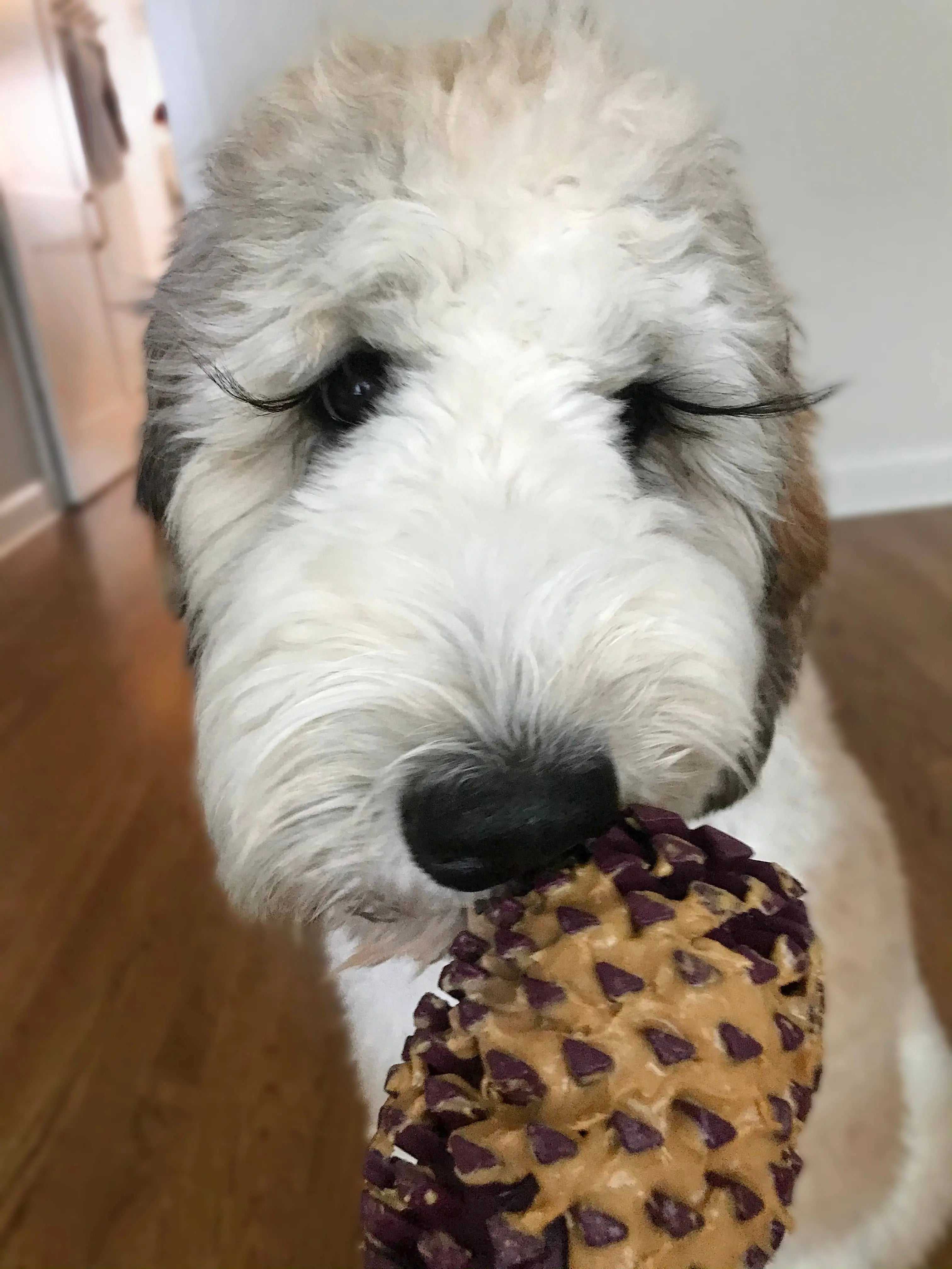 Natural Rubber Pinecone Toy Tall Tails