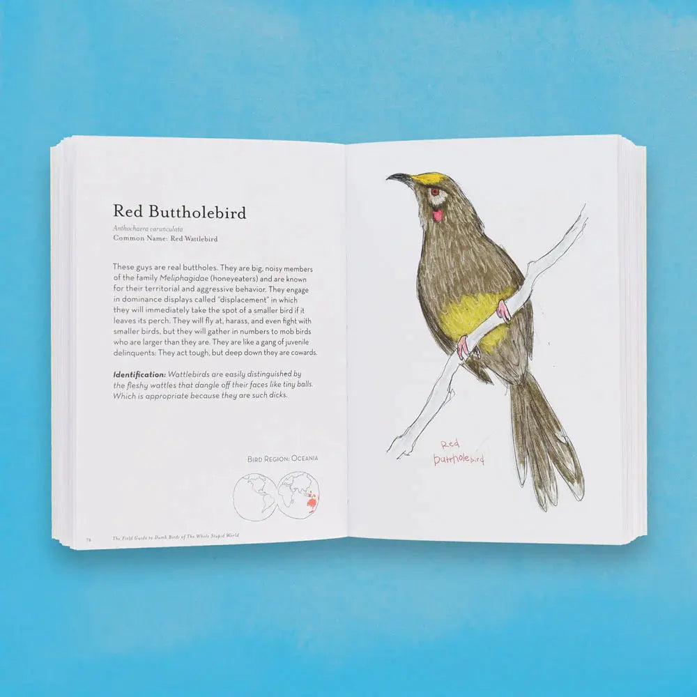 The Field Guide to Dumb Birds of the Whole Stupid World Ingram