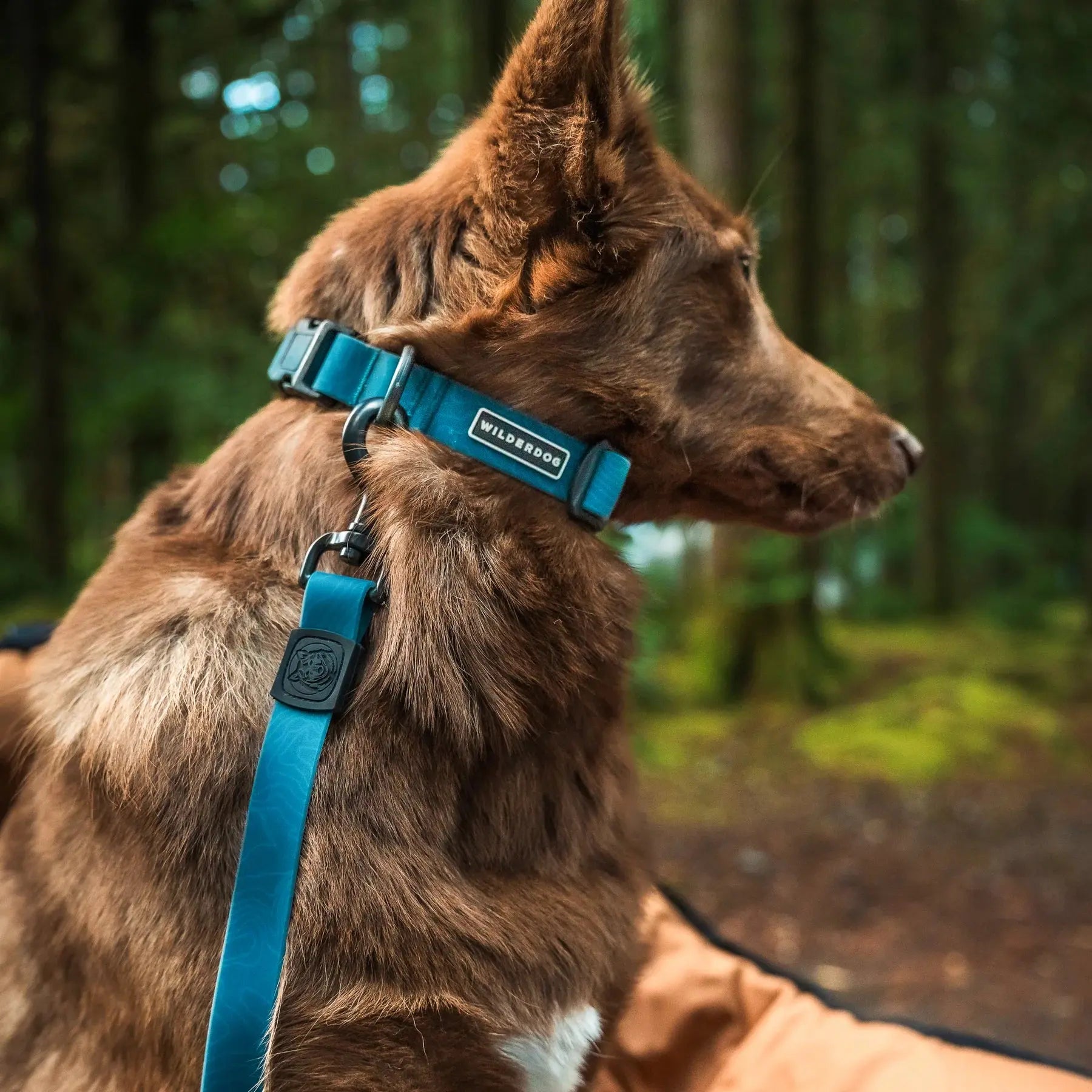 Wilderdog Waterproof Collar Wilderdog