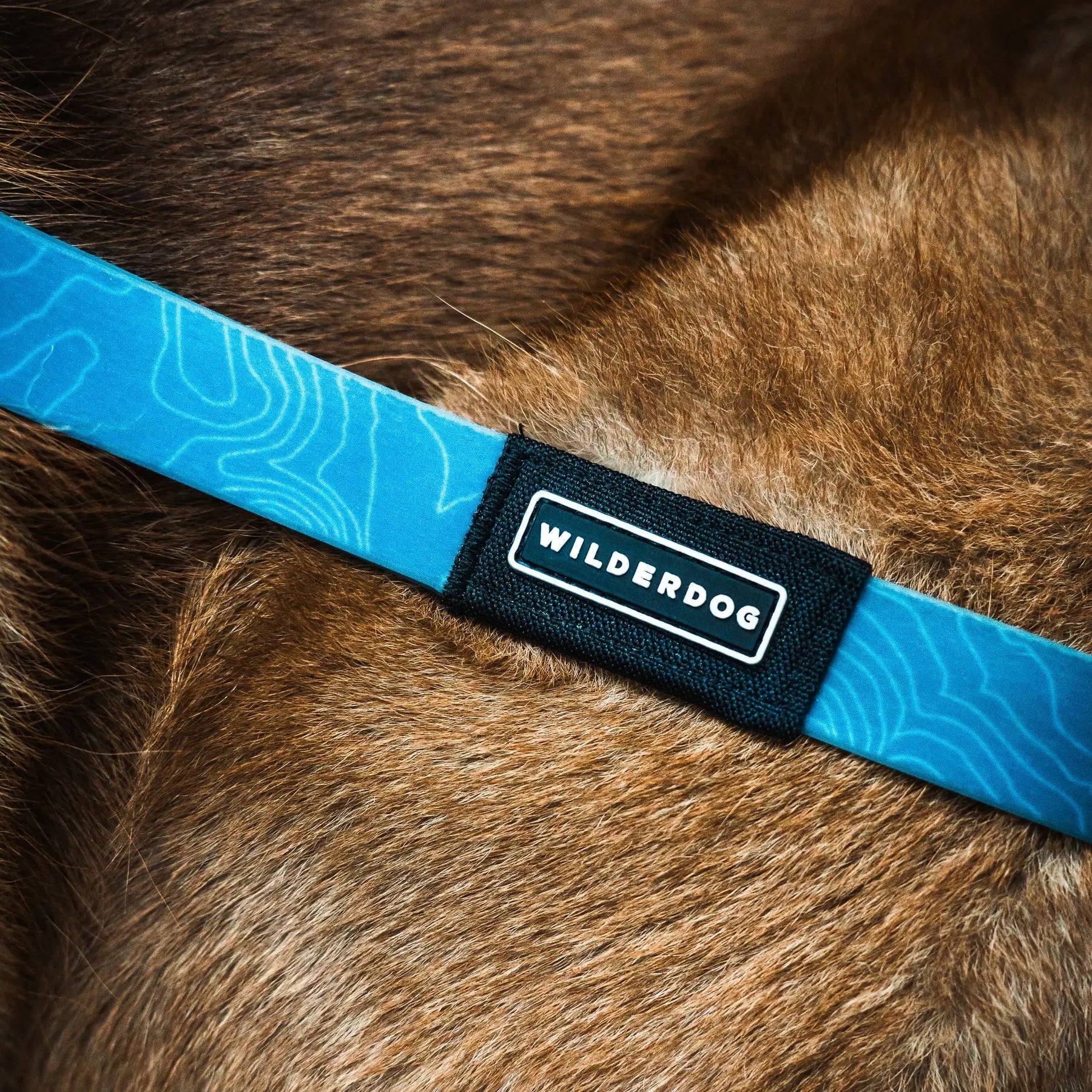 Wilderdog Waterproof Leash Wilderdog