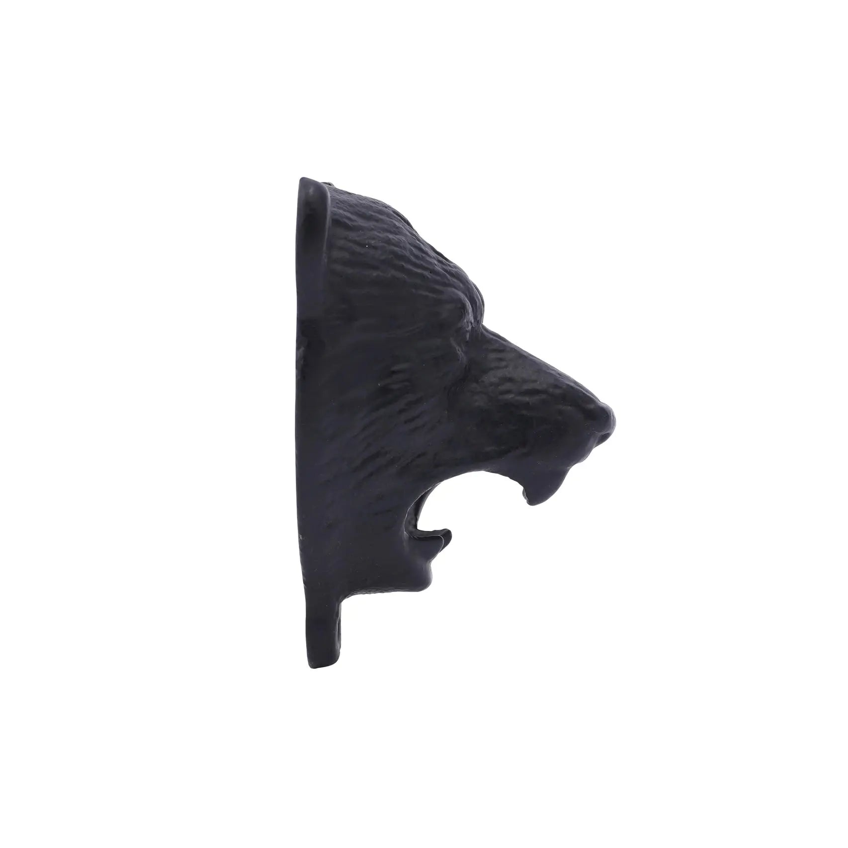 Bear Head Bottle Opener CGB Giftware